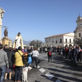 Festividad de San Antonio