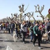 Festividad de San Antonio