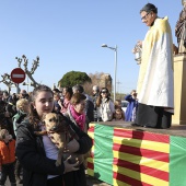 Festividad de San Antonio