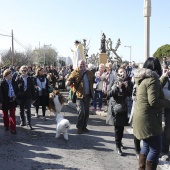 Festividad de San Antonio