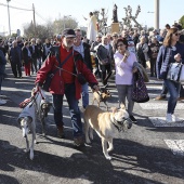 Festividad de San Antonio