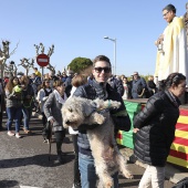 Festividad de San Antonio