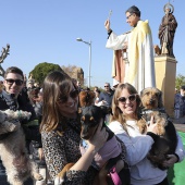 Festividad de San Antonio
