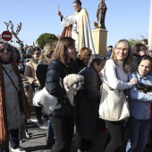Festividad de San Antonio