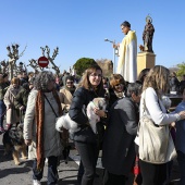 Festividad de San Antonio