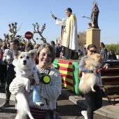 Festividad de San Antonio