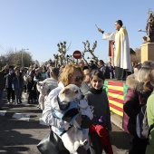 Festividad de San Antonio