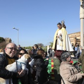 Festividad de San Antonio
