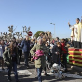 Festividad de San Antonio