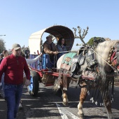 Festividad de San Antonio