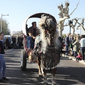 Festividad de San Antonio