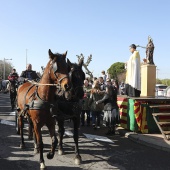 Festividad de San Antonio