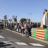 Festividad de San Antonio