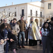 Festividad de San Antonio