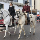 Festividad de San Antonio