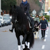 Festividad de San Antonio