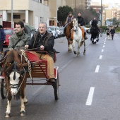 Festividad de San Antonio
