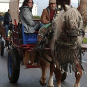 Festividad de San Antonio