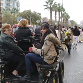 Festividad de San Antonio