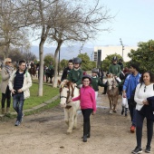 Festividad de San Antonio