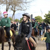 Festividad de San Antonio