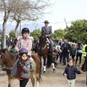 Festividad de San Antonio