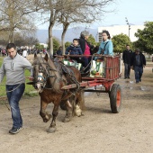 Festividad de San Antonio