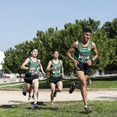 Cross Ciudad de Castellón