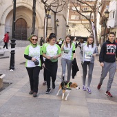 IV Marcha Contra el Cáncer Ciudad de Castelló