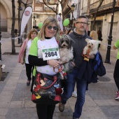 IV Marcha Contra el Cáncer Ciudad de Castelló