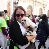 IV Marcha Contra el Cáncer Ciudad de Castelló