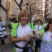 IV Marcha Contra el Cáncer Ciudad de Castelló