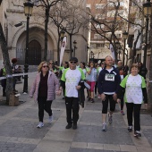 IV Marcha Contra el Cáncer Ciudad de Castelló