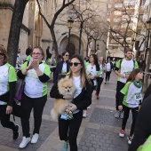 IV Marcha Contra el Cáncer Ciudad de Castelló