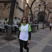 IV Marcha Contra el Cáncer Ciudad de Castelló