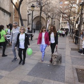 IV Marcha Contra el Cáncer Ciudad de Castelló