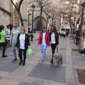 IV Marcha Contra el Cáncer Ciudad de Castelló