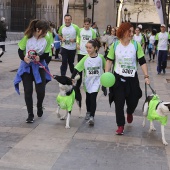 IV Marcha Contra el Cáncer Ciudad de Castelló