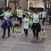 IV Marcha Contra el Cáncer Ciudad de Castelló