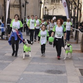 IV Marcha Contra el Cáncer Ciudad de Castelló