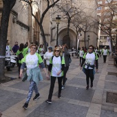 IV Marcha Contra el Cáncer Ciudad de Castelló