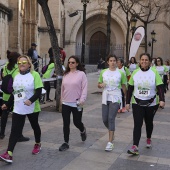 IV Marcha Contra el Cáncer Ciudad de Castelló