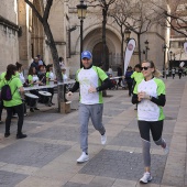 IV Marcha Contra el Cáncer Ciudad de Castelló