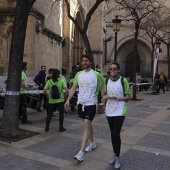 IV Marcha Contra el Cáncer Ciudad de Castelló