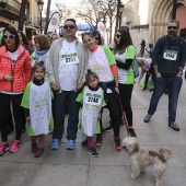 IV Marcha Contra el Cáncer Ciudad de Castelló