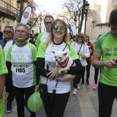 IV Marcha Contra el Cáncer Ciudad de Castelló