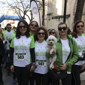 IV Marcha Contra el Cáncer Ciudad de Castelló