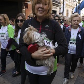 IV Marcha Contra el Cáncer Ciudad de Castelló