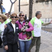 IV Marcha Contra el Cáncer Ciudad de Castelló