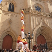 Normes de Castelló